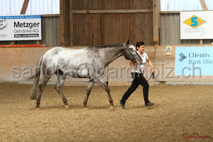 24-ApHC HIH_037.jpg
